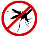 Mosquito Bites