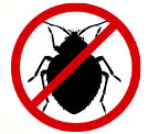 Bed Bug Bites
