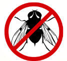 Sand Fly Bites